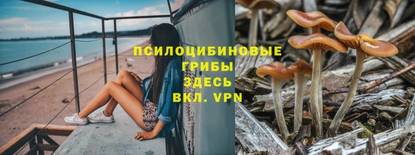 MDMA Богородицк